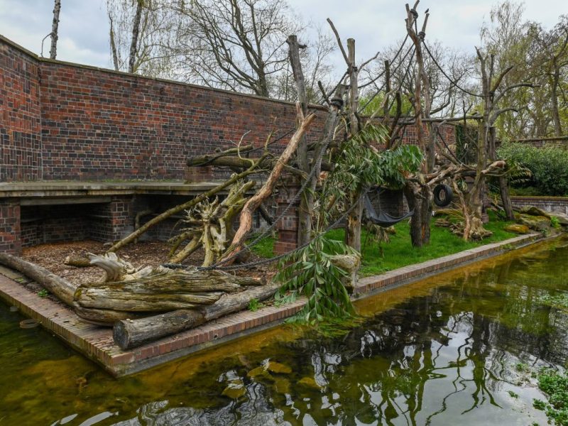 Zoo in NRW: Besucher wundern sich, weil sie ihre Lieblingstiere nicht mehr finden können.