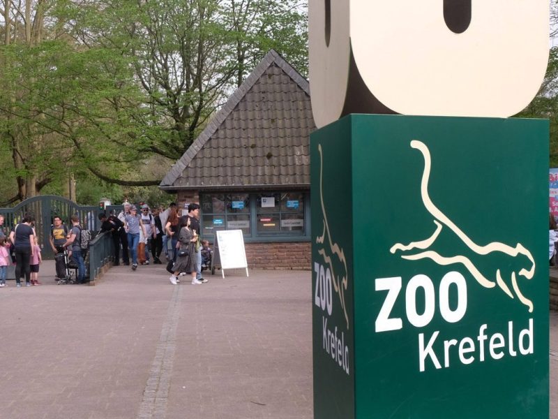 In diesem NRW-Zoo gab es einen ungewöhnlichen Fund.