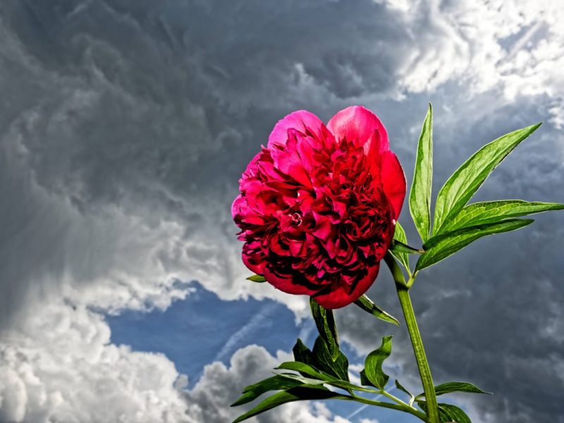 Wetter in NRW: Umschwung in der kommenden Woche.