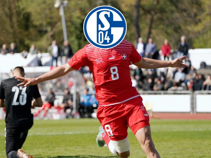 Der FC Schalke 04 bastelt weiter am Kader für die neue Saison. Dabei könnte auch ein Spieler aus dem Nachbarland interessant sein.