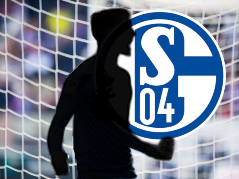 Schalke Hoffmann Wechsel
