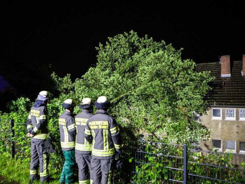 Baum stürzt auf Wohnhaus.