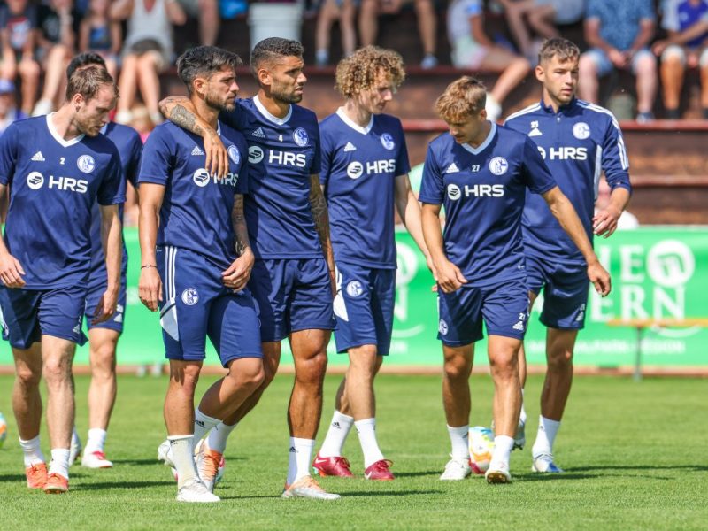 FC Schalke 04: Victor Palsson