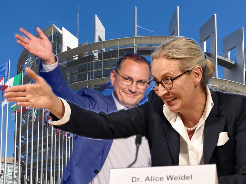 Die AfD steht nach dem ID-Rauswurf ohne Bündnispartner da. Doch das könnte sich bald ändern.