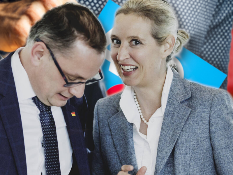 Trotz zahlreicher Skandale feiert die AfD bei der Europawahl einen neuen Rekord. Das liegt vor allem an IHNEN.