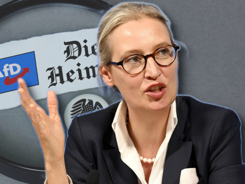 In Brandenburg kommt es zu einer rechtsextremen Kooperation zwischen AfD-Abgeordneten und dem NPD-Nachfolger.