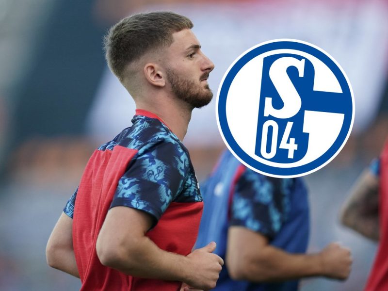 Neuzugang beim FC Schalke 04.
