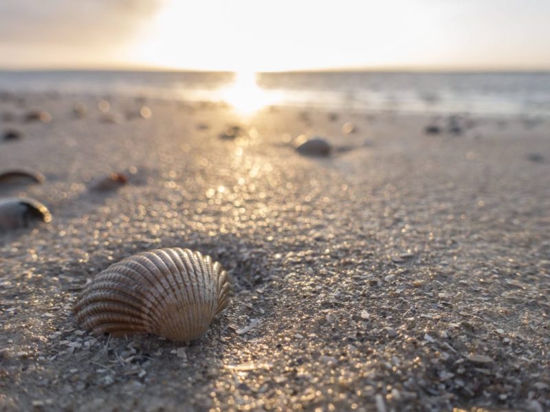Im Urlaub musste diese Familie ein dickes Bußgeld zahlen!