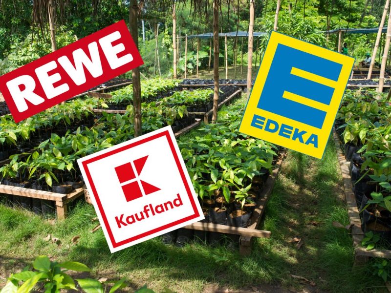 Rewe, Edeka, Kaufland und Co.: Kunden müssen stark sein. Ihr Lieblings-Produkt wird teurer.