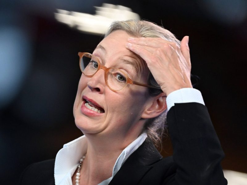 AfD-Programm zur Europawahl.