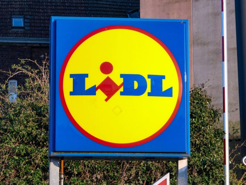 Lidl: Reptil sorgt für Schock-Moment.