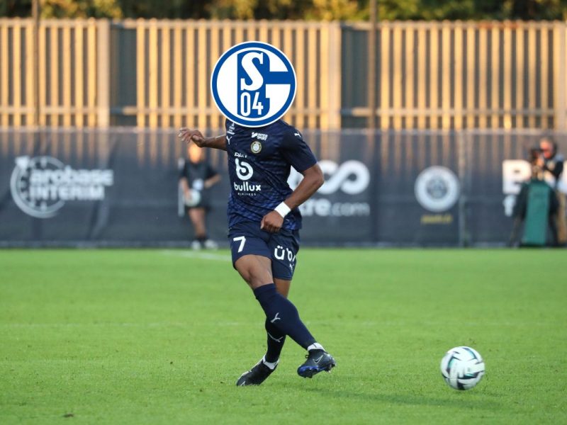 Das wäre ein Hammer! Der FC Schalke 04 soll vor der Verpflichtung eines neuen Spielers stehen. Es wäre wohl der Top-Transfer des Sommers.
