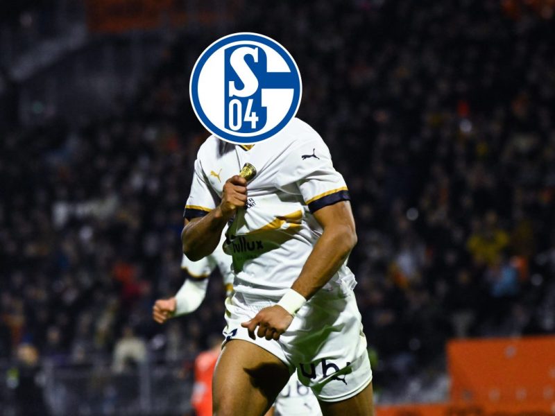 Der FC Schalke 04 hat einen weiteren Neuzugang vorgestellt. Damit landen die Königsblauen einen echten Transfercoup.