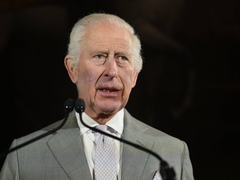 König Charles III. Ein neues Porträt von König Charles III. macht derzeit weltweit Schlagzeilen. Dabei sind sich Fans sofort einig…