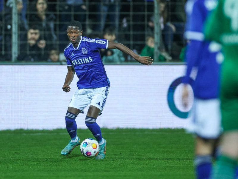 FC Schalke 04: Nelson Amadin