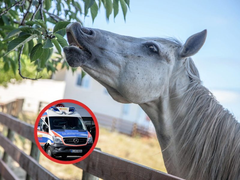 nrw wünschewagen norbert