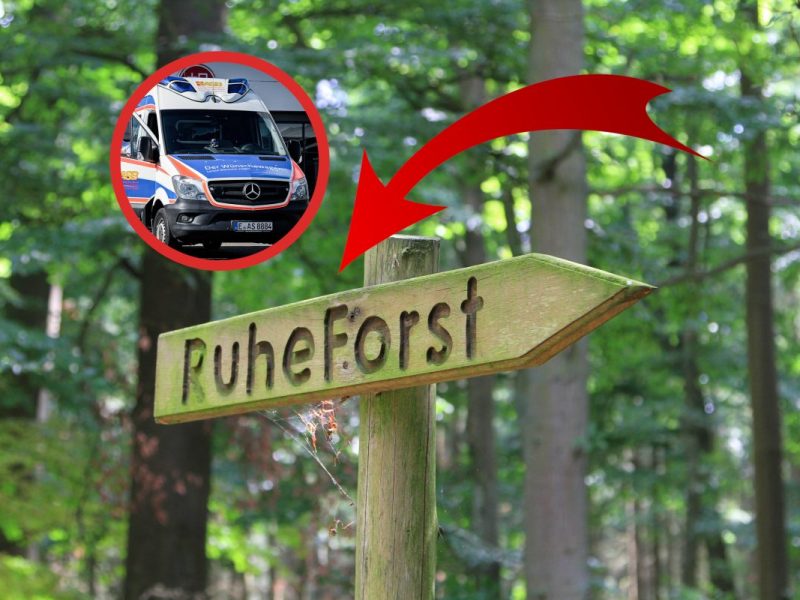 nrw wünschewagen ruheforst münster