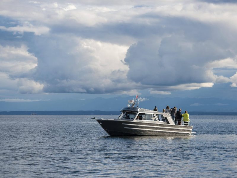 Urlaub in Italien: Paar verliert Hund bei Bootsausflug.
