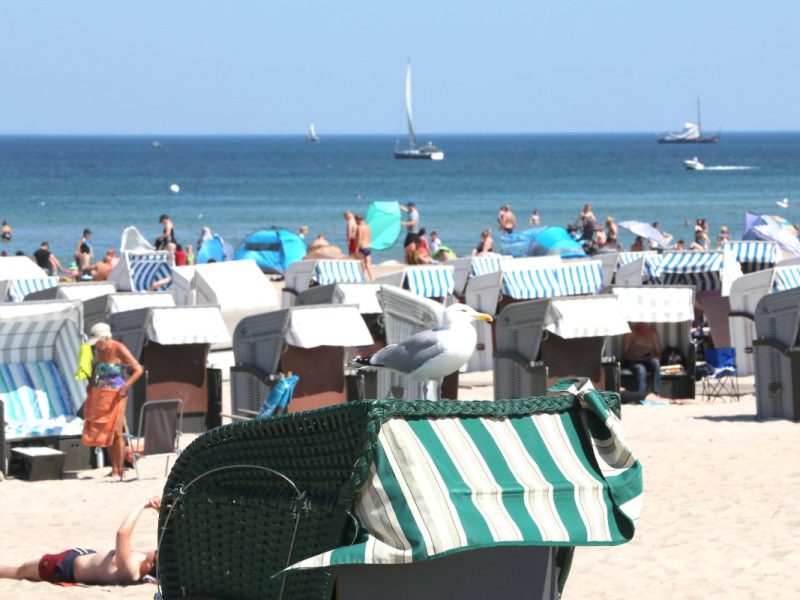 Urlaub an der Nordsee und Ostsee wird immer beliebter