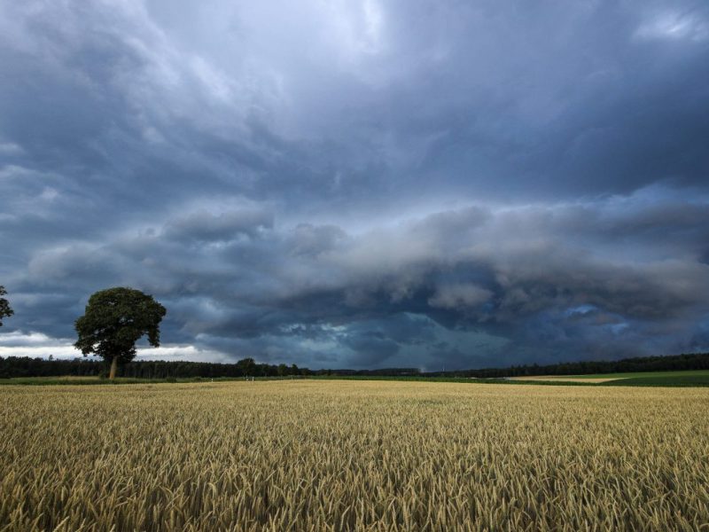 Unwetter-Aufruhr in NRW: War das wirklich ein Tornado? Deutscher Wetterdienst prüft das Phänomen.