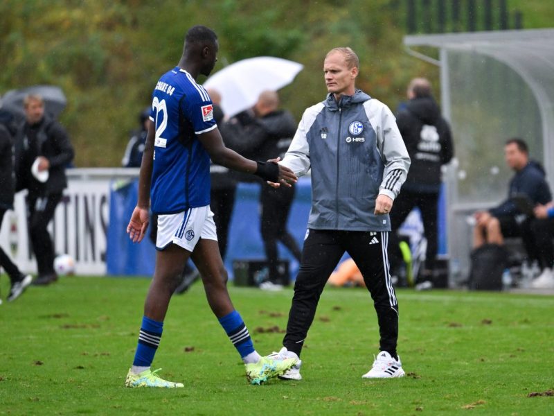 FC Schalke 04: Auch Karel Geraerts hofft auf Cisse.
