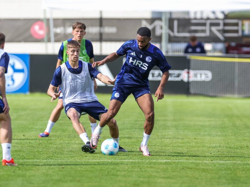 Der FC Schalke 04 hat einige neue Spieler an Board geholt. Ein Neuzugang hat die Fans im Testspiel gegen Kiew besonders beeindruckt.