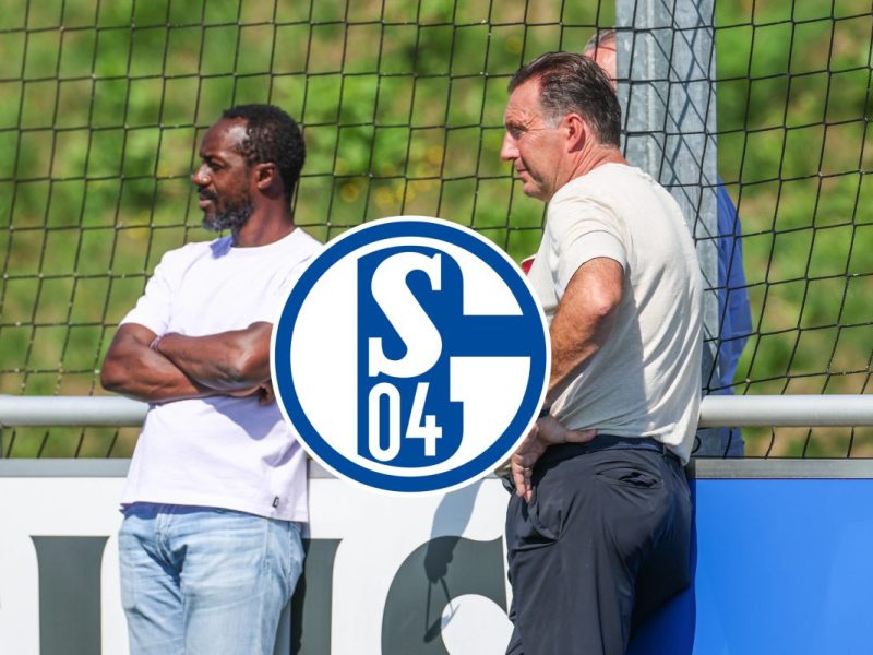 Marc Wilmots haut auf den Tisch! Der Sportdirektor des FC Schalke 04 spricht das aus, was viele Fans wohl nicht gerne hören werden.