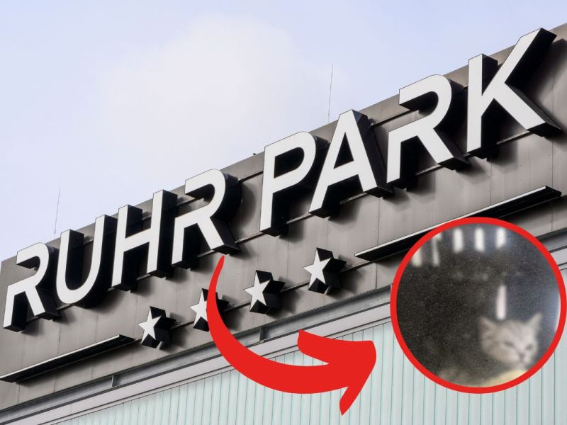 Schlimmer Fund im Ruhr Park Bochum