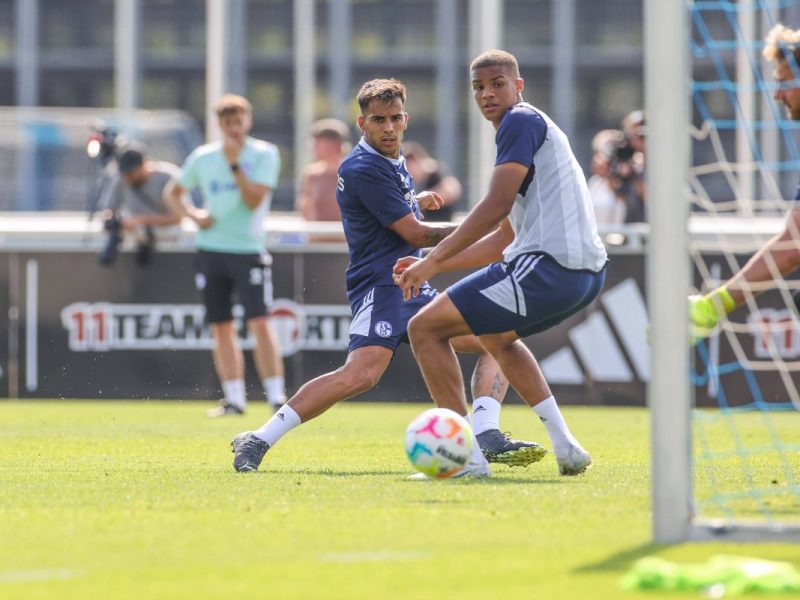 FC Schalke 04: Malick Thiaw