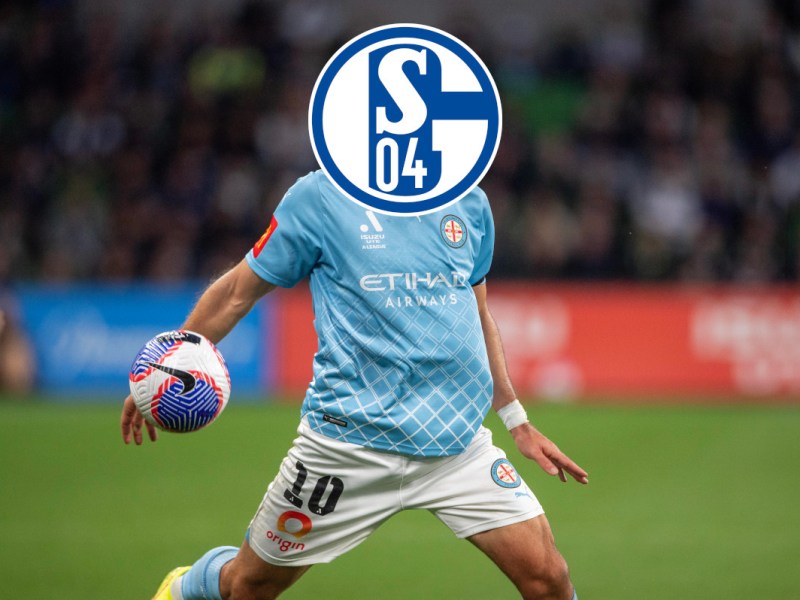 Schalke Arslan