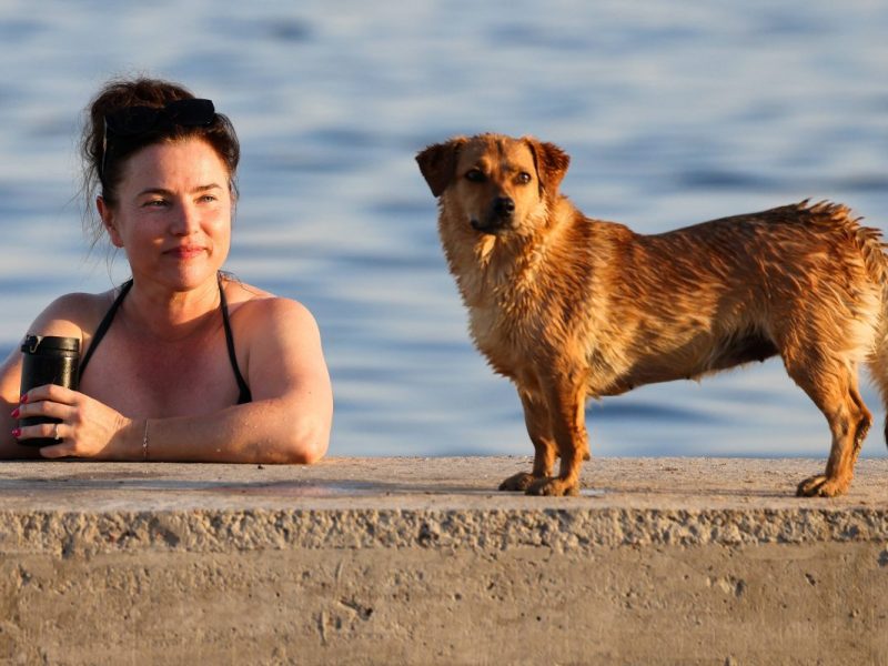 Urlaub auf Mallorca mit Hund