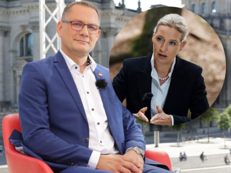 AfD-Chefs bei ARD und ZDF.