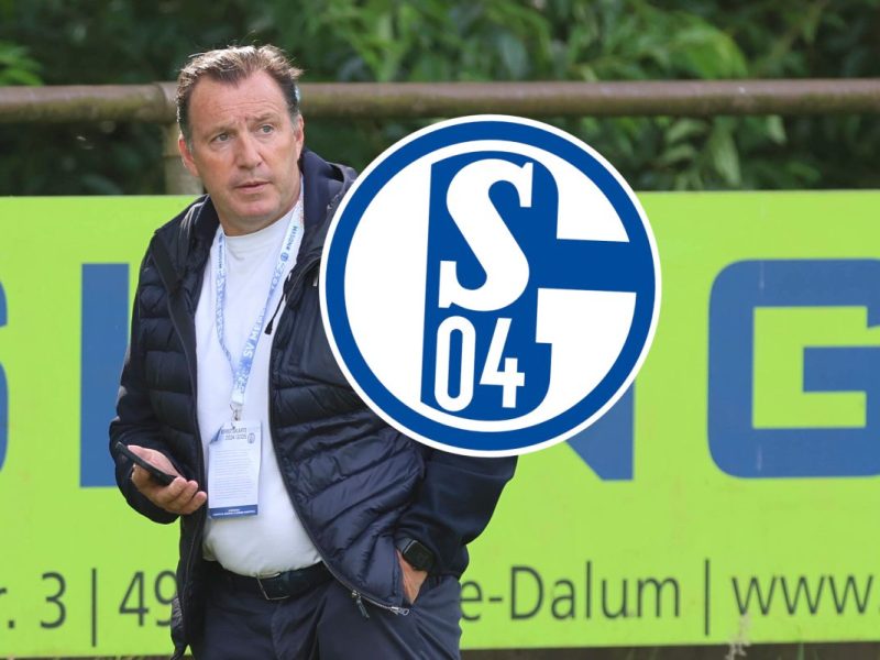 Marc Wilmots hat beim FC Schalke 04 große Pläne.