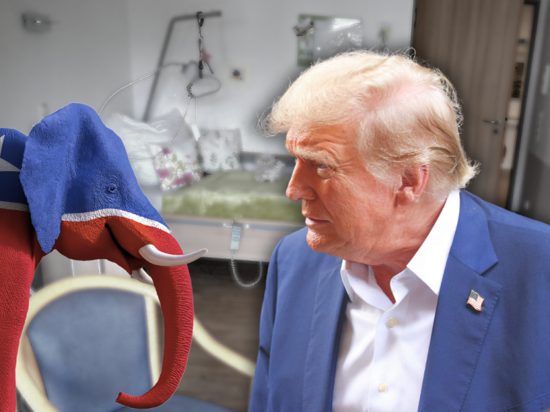 Mit 78 Jahren könnte Donald Trump erneut Präsident werden – eine Vorstellung, die in Deutschland für reichlich Diskussion sorgt. Einige sehen ihn als zu alt und gesundheitlich angeschlagen, andere loben seine Erfahrung. Wie stehen die Deutschen dazu?