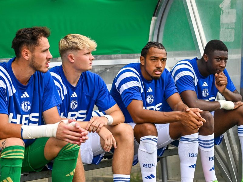 FC Schalke 04: Ibrahima Cisse