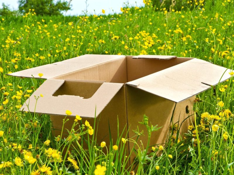 Schrecklicher Fund in NRW