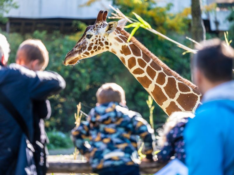 Zoo Duisburg