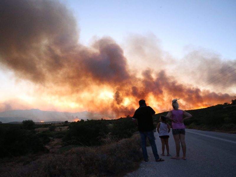 Griechenland Waldbrände