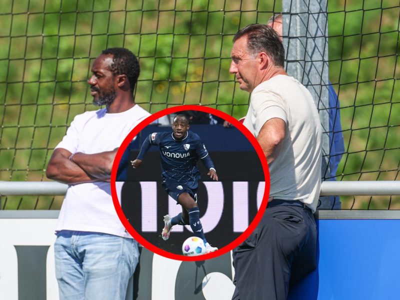 Der FC Schalke 04 schlägt offenbar erneut auf dem Transfermarkt zu. Königsblau soll kurz vor dem Transfer eines Ex-Bundesliga-Stars stehen.