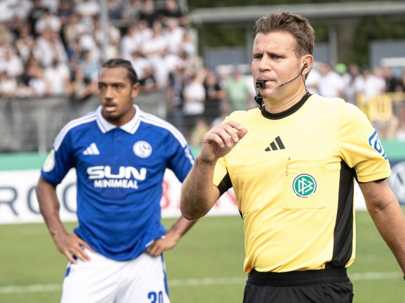 Felix Brych stand beim Spiel des FC Schalke 04 im Fokus.