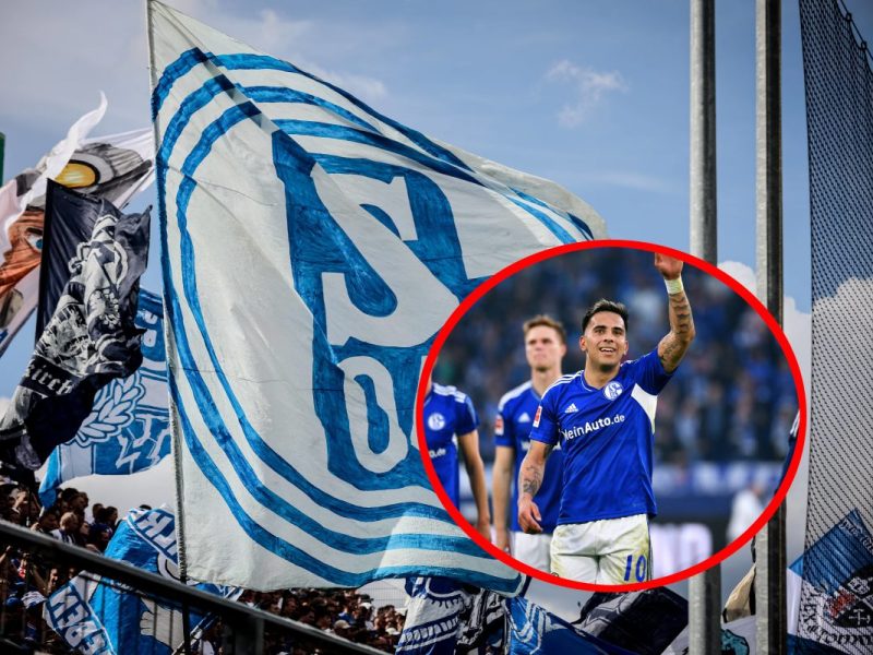 Bei Schalke 04 geht es Schlag auf Schlag, der nächste Neue ist da! Dieser Transfer ist für viele Fans wohl ganz besonders.
