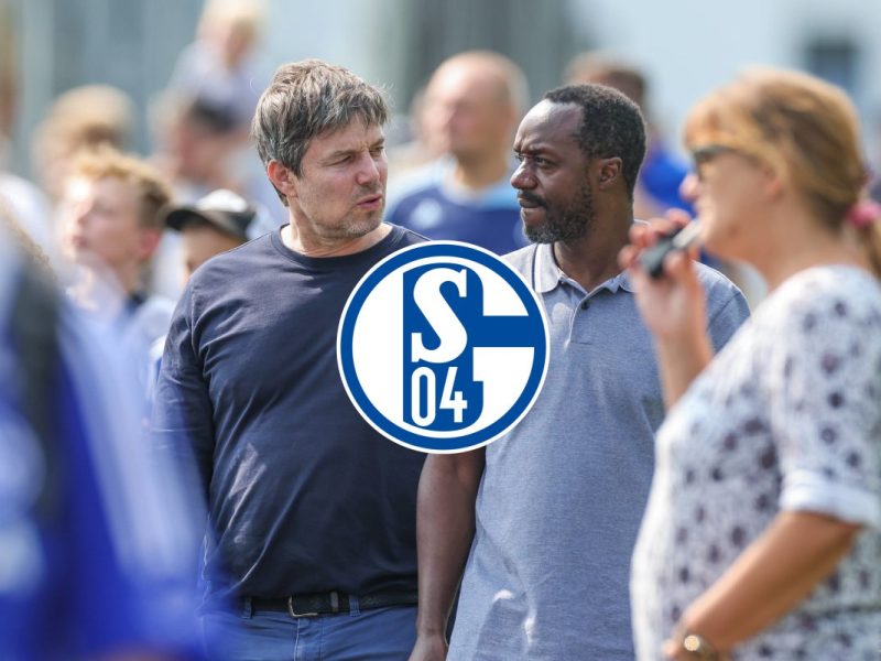 Der FC Schalke 04 hat schon einiges auf dem Transfermarkt umsetzen können. Und doch sind noch einige Lücken im Kader zu schließen.