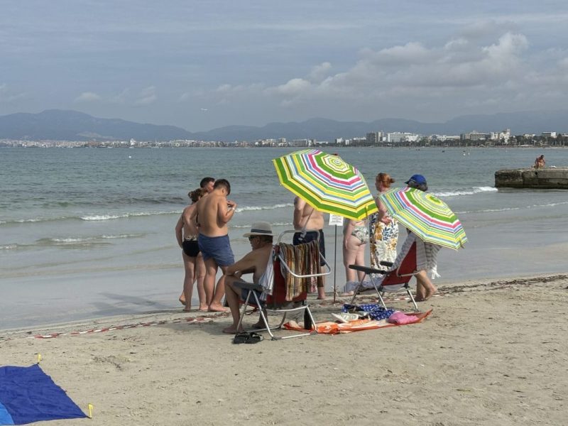 Wer derzeit Urlaub auf Mallorca macht, hat an bestimmten Strandabschnitten das Nachsehen.