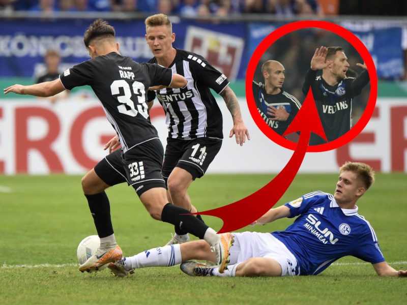 Schalke Polter Matriciani