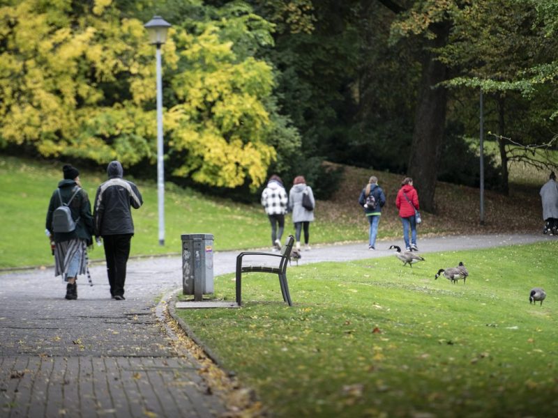 Im Stadtpark in Bochum kommt es immer wieder zu Diebstählen. (Archivfoto)