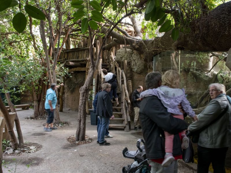Zoo Duisburg Tropenhalle