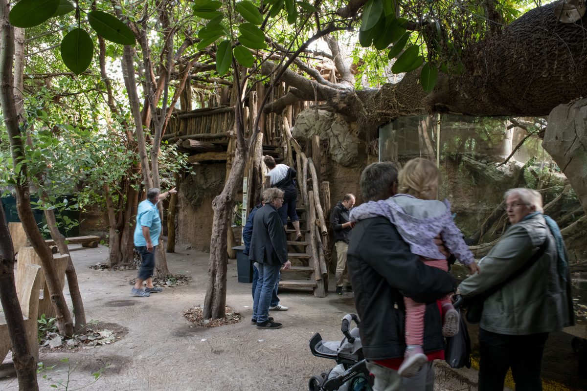 Zoo Duisburg Tropenhalle