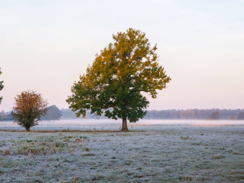 wetter nrw frost