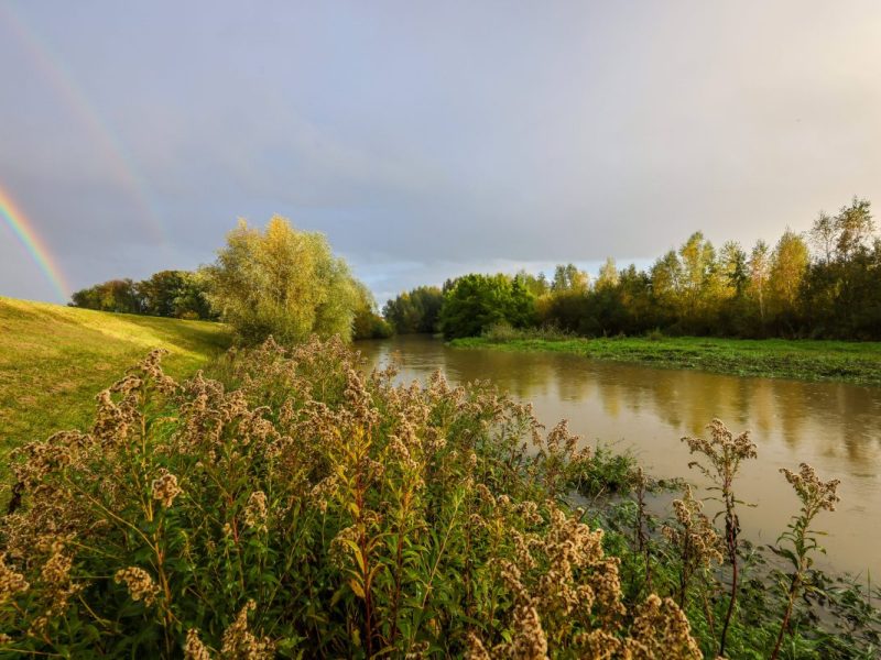 Wetter in NRW: Herbst tritt auf die Bremse.