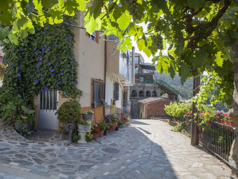 Urlaub in Spanien und dafür bezahlt werden?